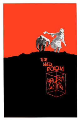The Mad Room (missing thumbnail, image: /images/cache/357756.jpg)