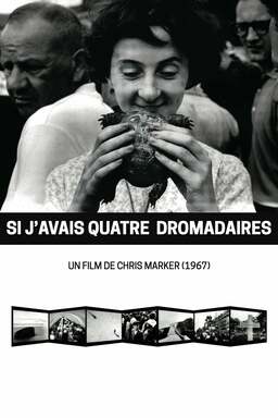 Si J'avais Quatre Dromadaires (missing thumbnail, image: /images/cache/360902.jpg)