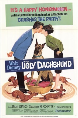 The Ugly Dachshund (missing thumbnail, image: /images/cache/361098.jpg)