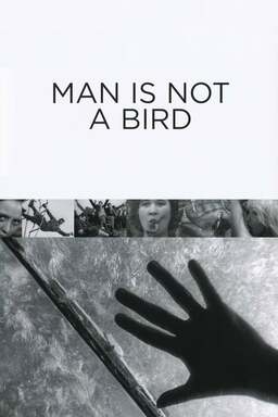 Man Is Not a Bird (missing thumbnail, image: /images/cache/363514.jpg)