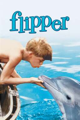 Flipper (missing thumbnail, image: /images/cache/365906.jpg)