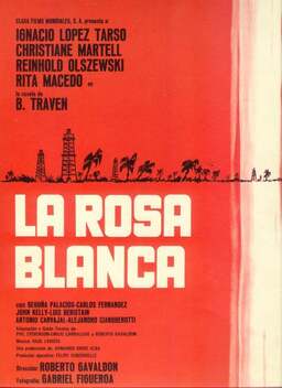 Rosa Blanca (missing thumbnail, image: /images/cache/368654.jpg)