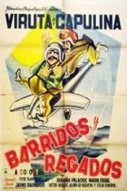 Barridos y regados (missing thumbnail, image: /images/cache/370104.jpg)