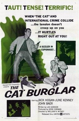 The Cat Burglar (missing thumbnail, image: /images/cache/370210.jpg)