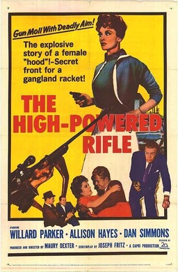 The High Powered Rifle (missing thumbnail, image: /images/cache/371616.jpg)