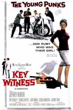 Key Witness (missing thumbnail, image: /images/cache/371742.jpg)