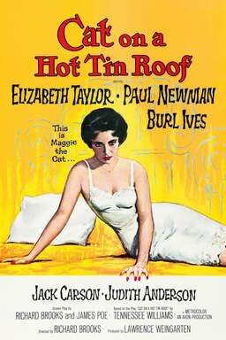 Cat on a Hot Tin Roof (missing thumbnail, image: /images/cache/373346.jpg)