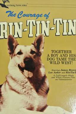 The Courage of Rin Tin Tin (missing thumbnail, image: /images/cache/376578.jpg)