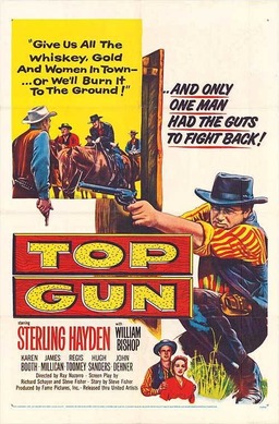 Top Gun (missing thumbnail, image: /images/cache/377018.jpg)