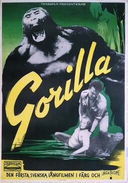 Gorilla Safari (missing thumbnail, image: /images/cache/377684.jpg)