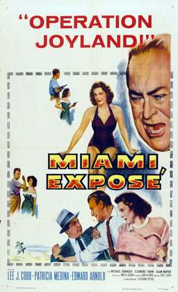 Miami Exposé (missing thumbnail, image: /images/cache/378030.jpg)