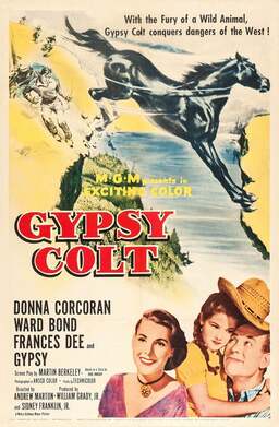 Gypsy Colt (missing thumbnail, image: /images/cache/379544.jpg)