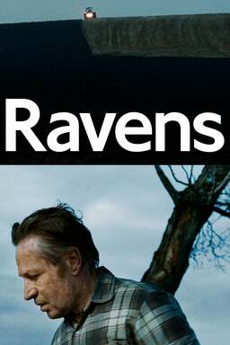 Ravens (missing thumbnail, image: /images/cache/38540.jpg)