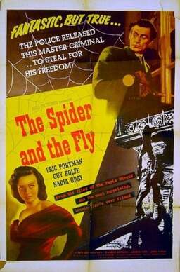 The Spider and the Fly (missing thumbnail, image: /images/cache/387382.jpg)