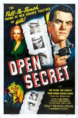 Open Secret (missing thumbnail, image: /images/cache/388184.jpg)