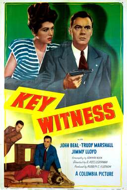 Key Witness (missing thumbnail, image: /images/cache/389088.jpg)