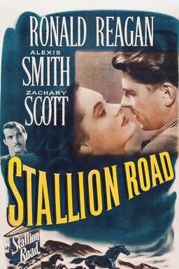 Stallion Road (missing thumbnail, image: /images/cache/389534.jpg)