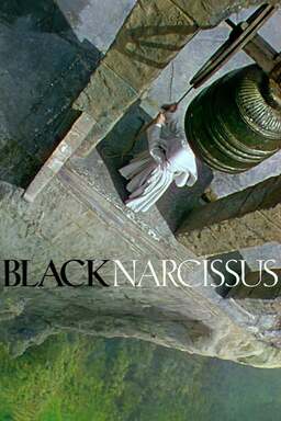 Black Narcissus (missing thumbnail, image: /images/cache/391068.jpg)