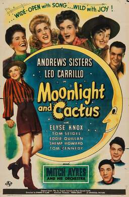 Moonlight and Cactus (missing thumbnail, image: /images/cache/393136.jpg)
