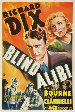 Blind Alibi (missing thumbnail, image: /images/cache/402814.jpg)