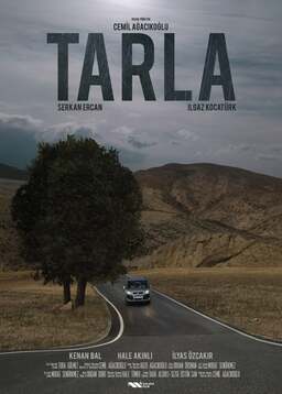 Tarla (missing thumbnail, image: /images/cache/40578.jpg)