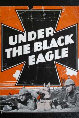 Under the Black Eagle (missing thumbnail, image: /images/cache/414870.jpg)