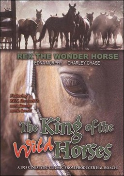 The King of Wild Horses (missing thumbnail, image: /images/cache/418836.jpg)