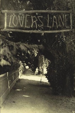 Lovers' Lane (missing thumbnail, image: /images/cache/418866.jpg)