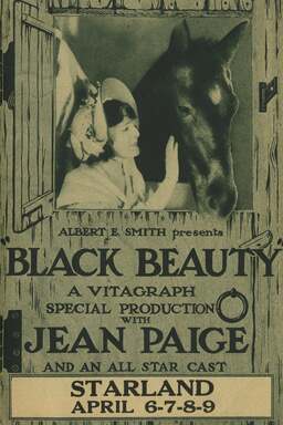 Black Beauty (missing thumbnail, image: /images/cache/419920.jpg)