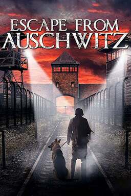 The Escape from Auschwitz (missing thumbnail, image: /images/cache/427296.jpg)