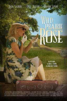 Wild Prairie Rose (missing thumbnail, image: /images/cache/44090.jpg)