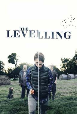 The Levelling (missing thumbnail, image: /images/cache/46508.jpg)