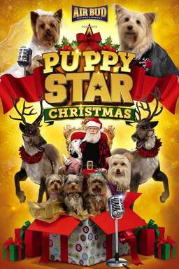 Puppy Star Christmas (missing thumbnail, image: /images/cache/5203.jpg)