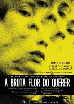 A Bruta Flor do Querer (missing thumbnail, image: /images/cache/52360.jpg)