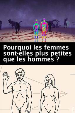 Pourquoi les femmes sont-elles plus petites que les hommes? (missing thumbnail, image: /images/cache/53944.jpg)