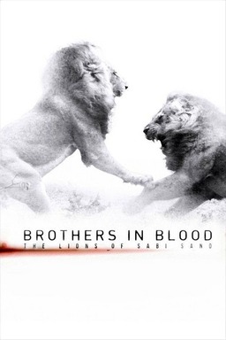 Brothers in Blood: The Lions of Sabi Sand (missing thumbnail, image: /images/cache/54046.jpg)