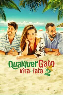 Qualquer Gato Vira Lata 2 (missing thumbnail, image: /images/cache/55126.jpg)