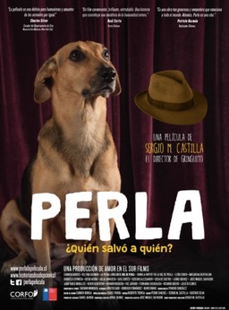 Perla (missing thumbnail, image: /images/cache/56658.jpg)