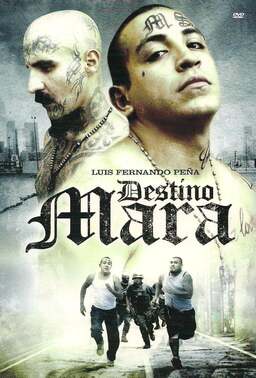 Destino Mara (missing thumbnail, image: /images/cache/56858.jpg)