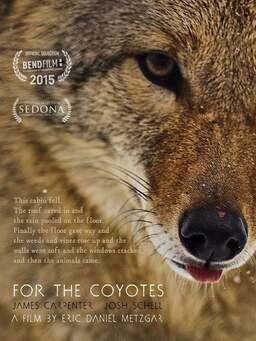 For the Coyotes (missing thumbnail, image: /images/cache/57422.jpg)