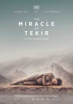 The Miracle of Tekir (missing thumbnail, image: /images/cache/57610.jpg)