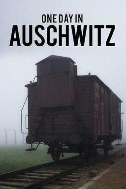 One Day in Auschwitz (missing thumbnail, image: /images/cache/59294.jpg)