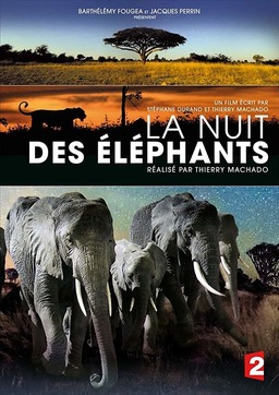 La nuit des éléphants (missing thumbnail, image: /images/cache/59658.jpg)