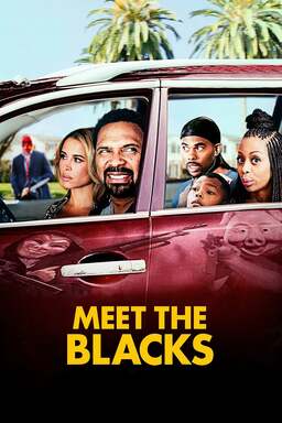 Meet the Blacks Poster
