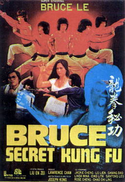 Bruce's Secret Kung Fu (missing thumbnail, image: /images/cache/66712.jpg)