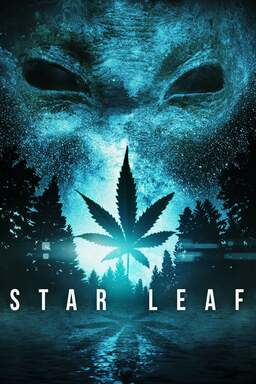 Star Leaf Poster