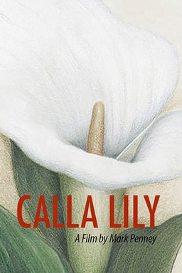 Calla Lily (missing thumbnail, image: /images/cache/67690.jpg)