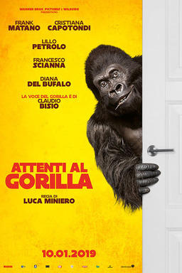 Attenti al gorilla (missing thumbnail, image: /images/cache/6785.jpg)