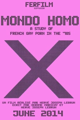 Mondo Homo: A Study of French Gay Porn in the '70s (missing thumbnail, image: /images/cache/69728.jpg)