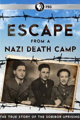 Escape From a Nazi Death Camp (missing thumbnail, image: /images/cache/70722.jpg)